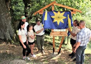 OLS7  Doživljenjsko zaščitena Kladnska lipa F JM   IMG_8165 (5)